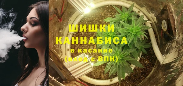 винт Арсеньев